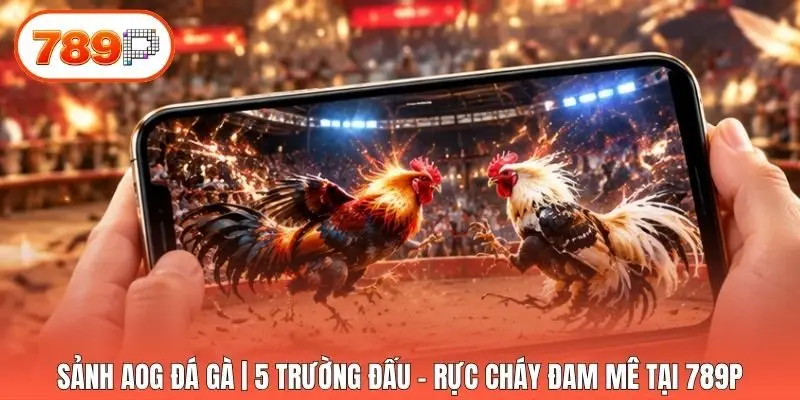 Sảnh AOG Đá Gà | 5 Trường Đấu - Rực Cháy Đam Mê Tại 789p