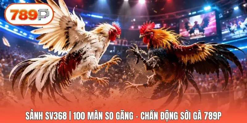 Sảnh SV368 | 100 Màn So Găng - Chấn Động Sới Gà 789p