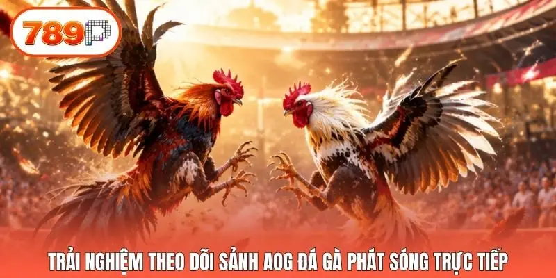 Trải nghiệm theo dõi sảnh AOG Đá Gà phát sóng trực tiếp